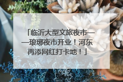 临沂大型文旅夜市——琅琊夜市开业！河东再添网红打卡地！