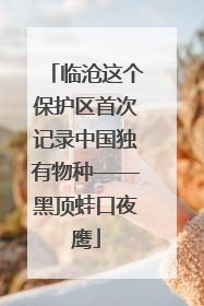 临沧这个保护区首次记录中国独有物种——黑顶蛙口夜鹰