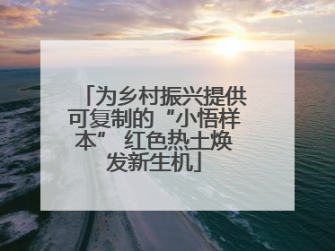 为乡村振兴提供可复制的“小悟样本” 红色热土焕发新生机