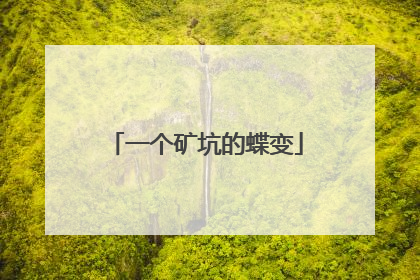 一个矿坑的蝶变