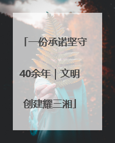 一份承诺坚守40余年｜文明创建耀三湘