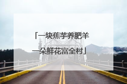 一块蕉芋养肥羊 一朵鲜花富全村