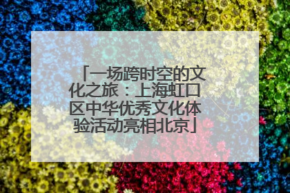 一场跨时空的文化之旅：上海虹口区中华优秀文化体验活动亮相北京