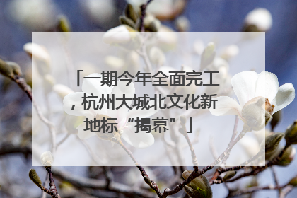 一期今年全面完工，杭州大城北文化新地标“揭幕”