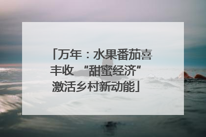 万年：水果番茄喜丰收 “甜蜜经济”激活乡村新动能