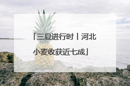 三夏进行时丨河北小麦收获近七成