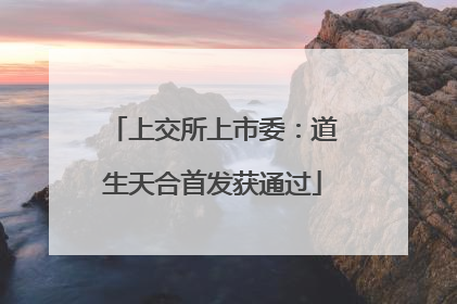 上交所上市委：道生天合首发获通过