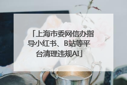上海市委网信办指导小红书、B站等平台清理违规AI