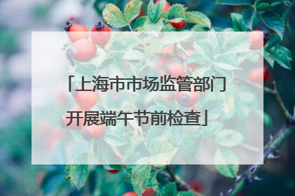 上海市市场监管部门开展端午节前检查