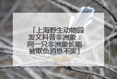 上海野生动物园发文科普非洲象：同一只非洲象长期被欺负消息不实