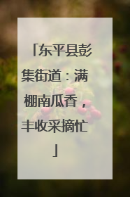 东平县彭集街道：满棚南瓜香，丰收采摘忙
