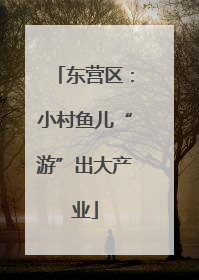东营区：小村鱼儿“游”出大产业