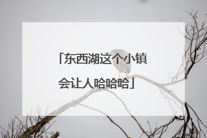 东西湖这个小镇会让人哈哈哈