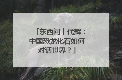 东西问丨代辉：中国恐龙化石如何对话世界？
