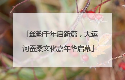 丝韵千年启新篇，大运河蚕桑文化嘉年华启幕