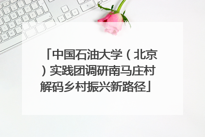 中国石油大学（北京）实践团调研南马庄村解码乡村振兴新路径