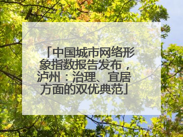 中国城市网络形象指数报告发布，泸州：治理、宜居方面的双优典范