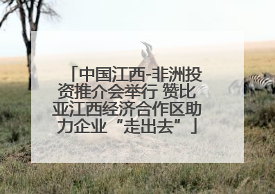 中国江西-非洲投资推介会举行 赞比亚江西经济合作区助力企业“走出去”
