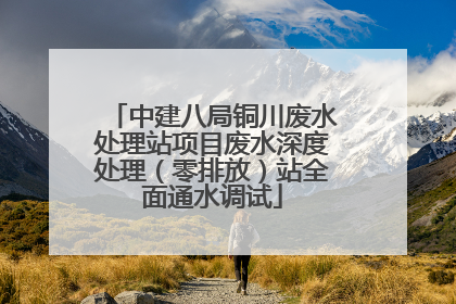 中建八局铜川废水处理站项目废水深度处理（零排放）站全面通水调试