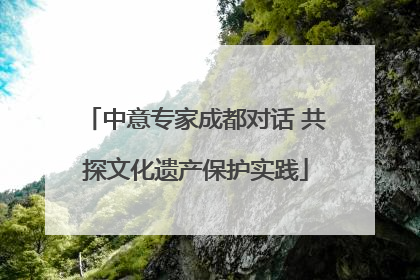 中意专家成都对话 共探文化遗产保护实践