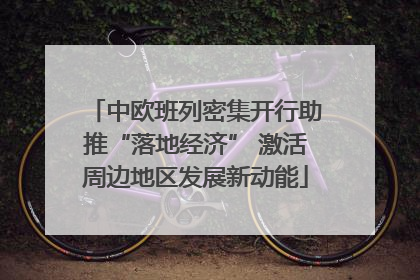 中欧班列密集开行助推“落地经济” 激活周边地区发展新动能