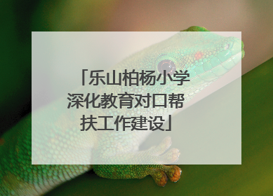 乐山柏杨小学深化教育对口帮扶工作建设