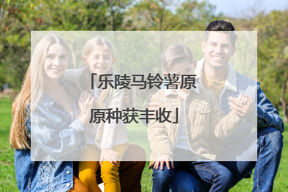 乐陵马铃薯原原种获丰收