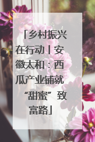 乡村振兴在行动丨安徽太和：西瓜产业铺就“甜蜜”致富路