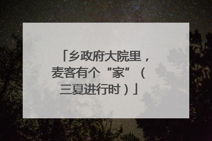 乡政府大院里，麦客有个“家”（三夏进行时）
