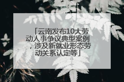 云南发布10大劳动人事争议典型案例，涉及新就业形态劳动关系认定等