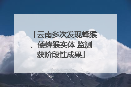 云南多次发现蜂猴、倭蜂猴实体 监测获阶段性成果