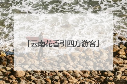 云南花香引四方游客