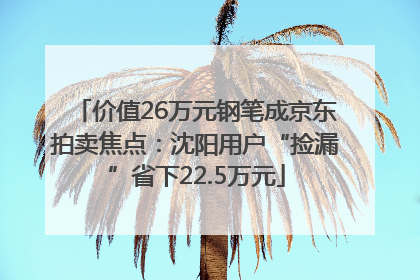 价值26万元钢笔成京东拍卖焦点：沈阳用户“捡漏”省下22.5万元