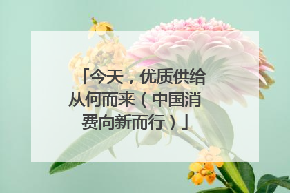今天，优质供给从何而来（中国消费向新而行）