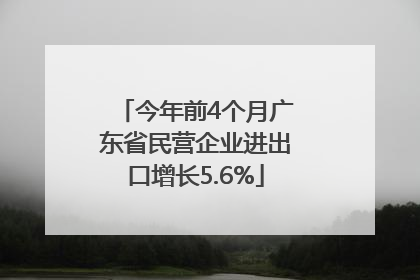 今年前4个月广东省民营企业进出口增长5.6%