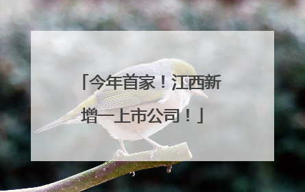 今年首家！江西新增一上市公司！