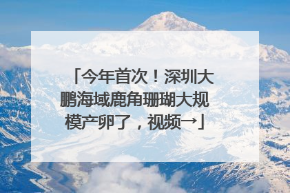 今年首次！深圳大鹏海域鹿角珊瑚大规模产卵了，视频→