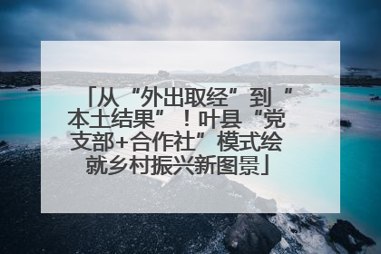 从“外出取经”到“本土结果”！叶县“党支部+合作社”模式绘就乡村振兴新图景