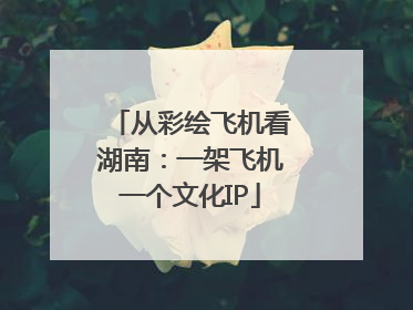 从彩绘飞机看湖南：一架飞机一个文化IP