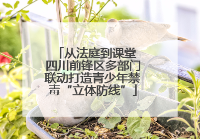从法庭到课堂 四川前锋区多部门联动打造青少年禁毒“立体防线”