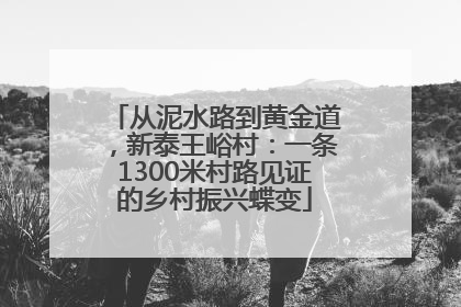 从泥水路到黄金道，新泰王峪村：一条1300米村路见证的乡村振兴蝶变