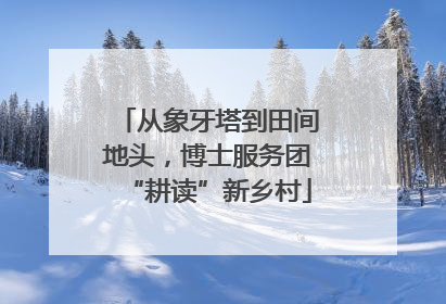 从象牙塔到田间地头，博士服务团“耕读”新乡村