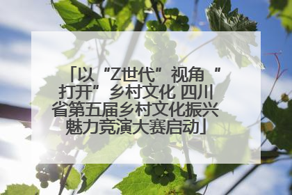 以“Z世代”视角“打开”乡村文化 四川省第五届乡村文化振兴魅力竞演大赛启动