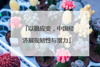 以稳应变，中国经济展现韧性与潜力