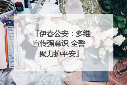 伊春公安：多维宣传强意识 全警聚力护平安