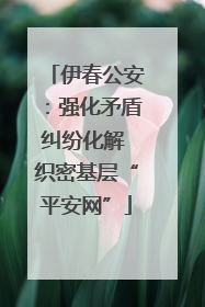 伊春公安：强化矛盾纠纷化解 织密基层“平安网”