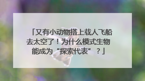 又有小动物搭上载人飞船去太空了！为什么模式生物能成为“探索代表”？
