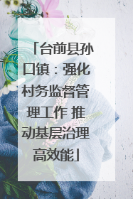 台前县孙口镇：强化村务监督管理工作 推动基层治理高效能