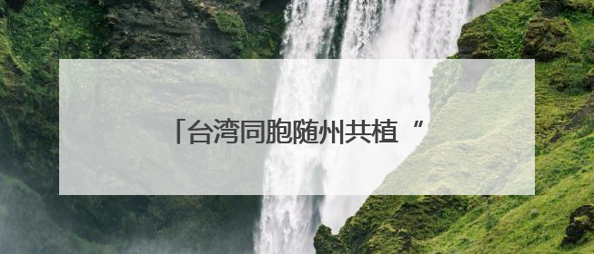 台湾同胞随州共植“同根林”，那是跨越海峡的“绿色情诗”