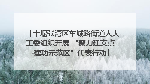 十堰张湾区车城路街道人大工委组织开展 “聚力建支点·建功示范区”代表行动